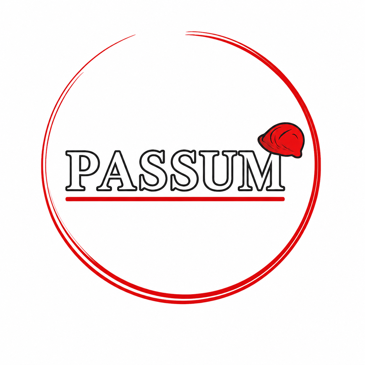 Distribuidora Passum EPP - Logo